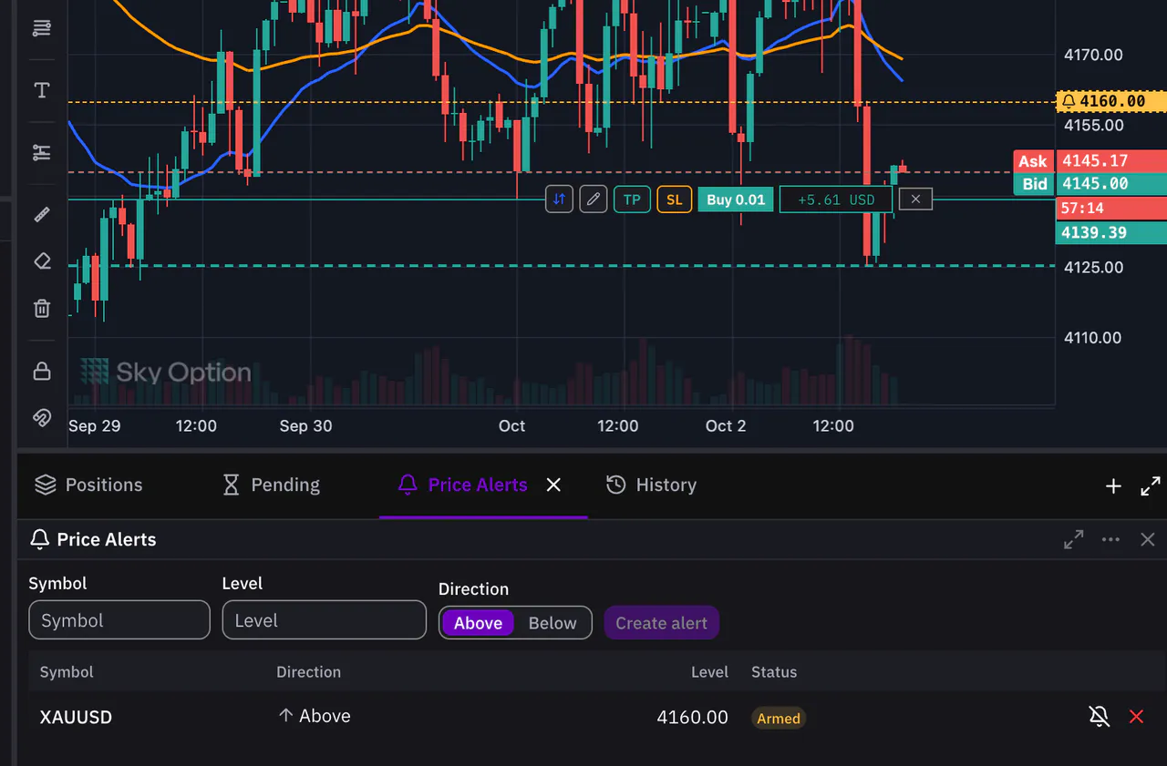 A price alert line on the chart and the Price Alerts tab below it