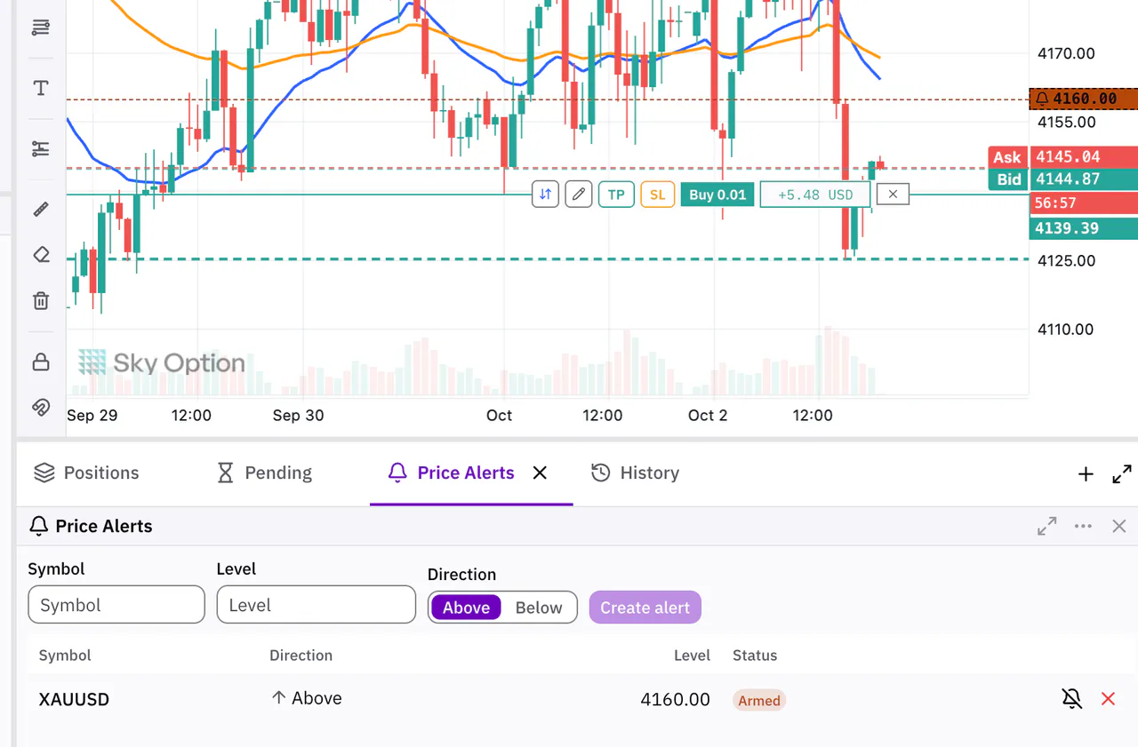 A price alert line on the chart and the Price Alerts tab below it