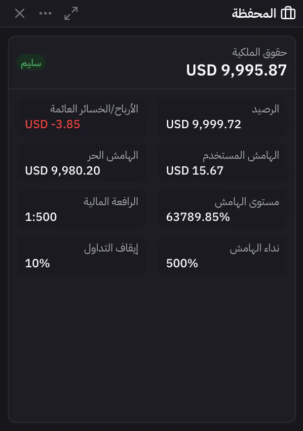 لوحة المحفظة مع الرصيد وحقوق الملكية والهامش