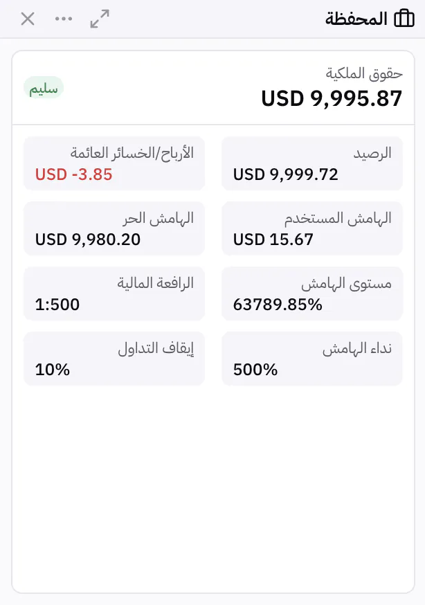 لوحة المحفظة مع الرصيد وحقوق الملكية والهامش